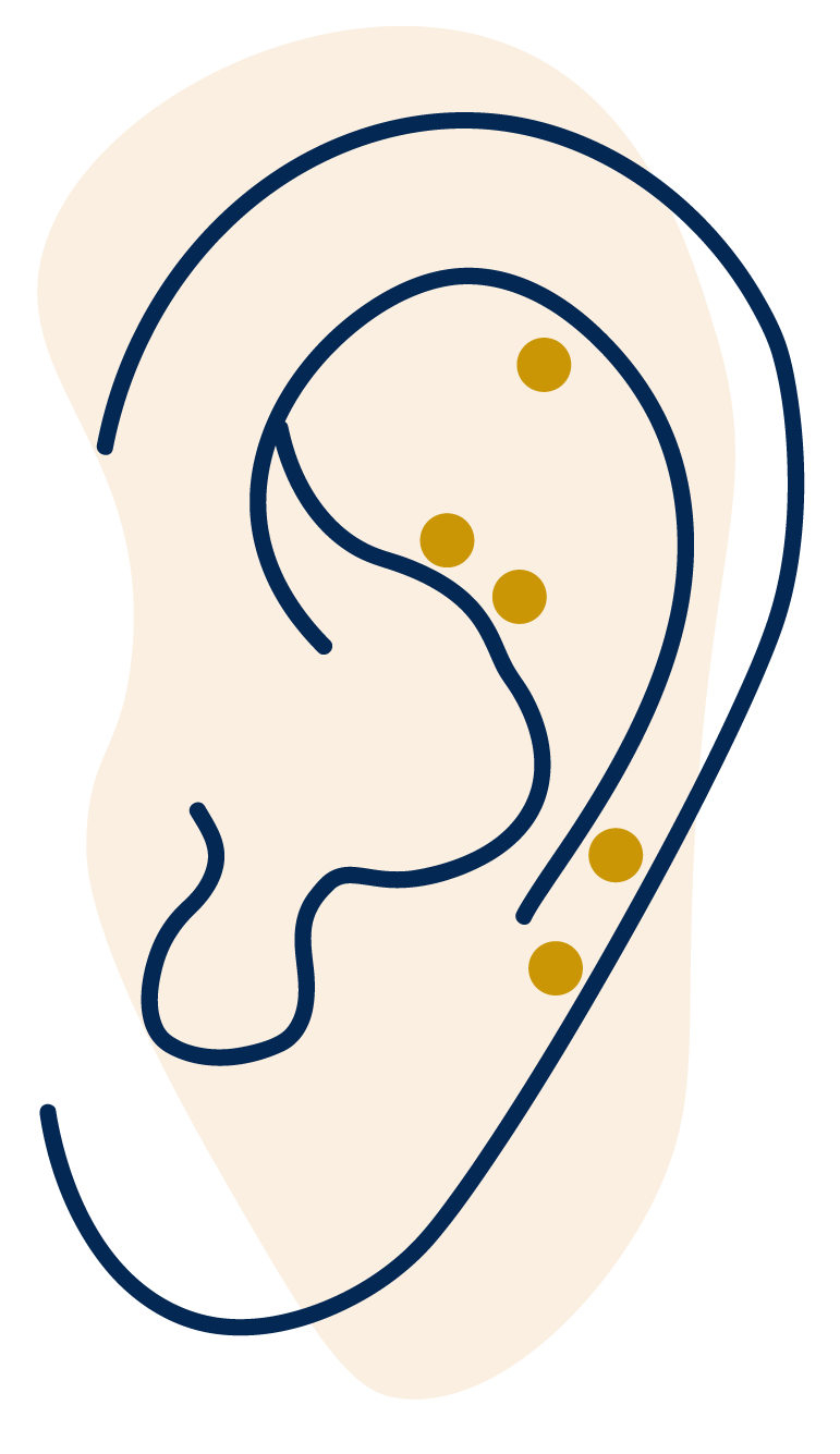 illustration of an ear with ear seeds