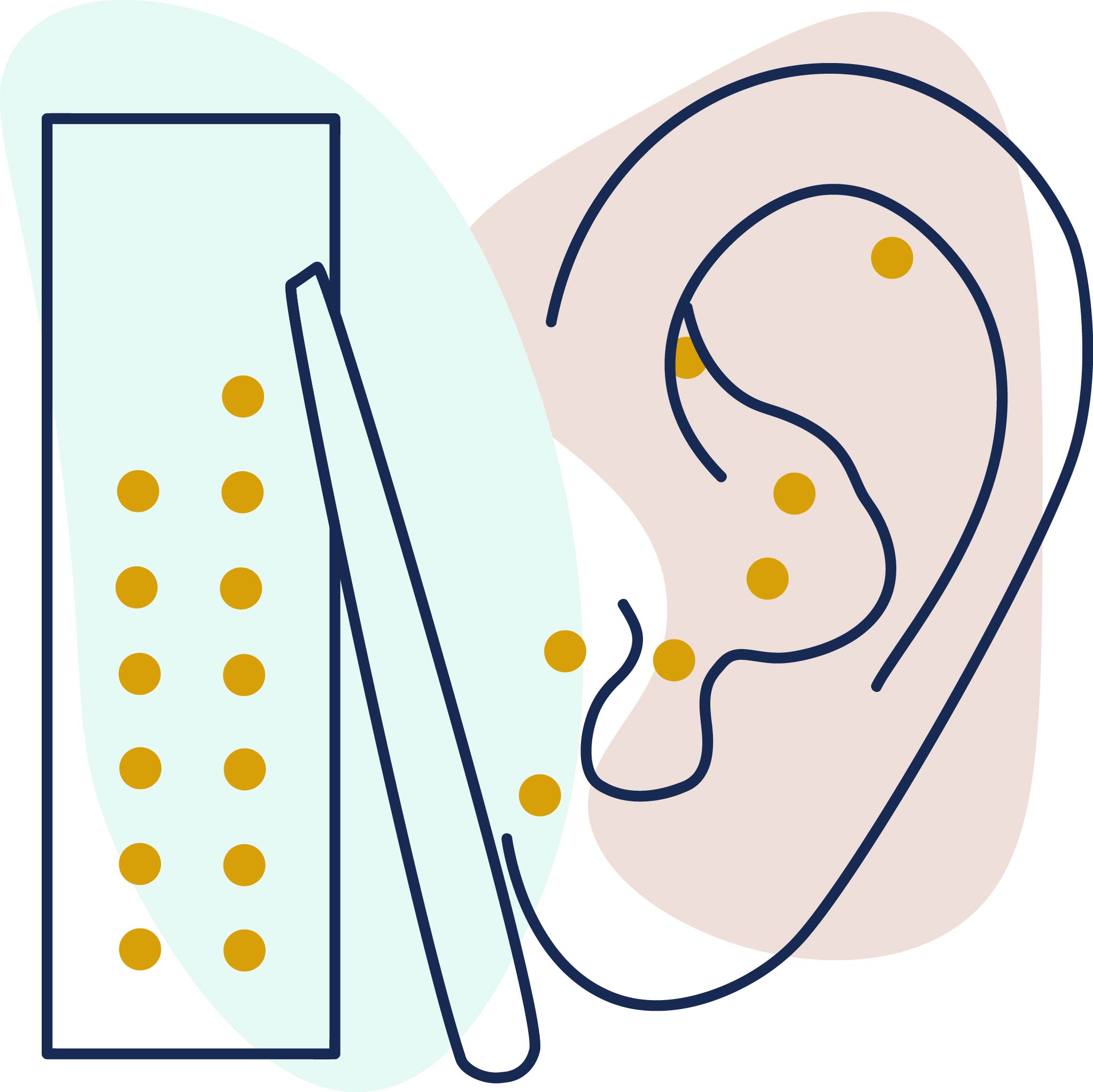 illustration of an ear with ear seeds