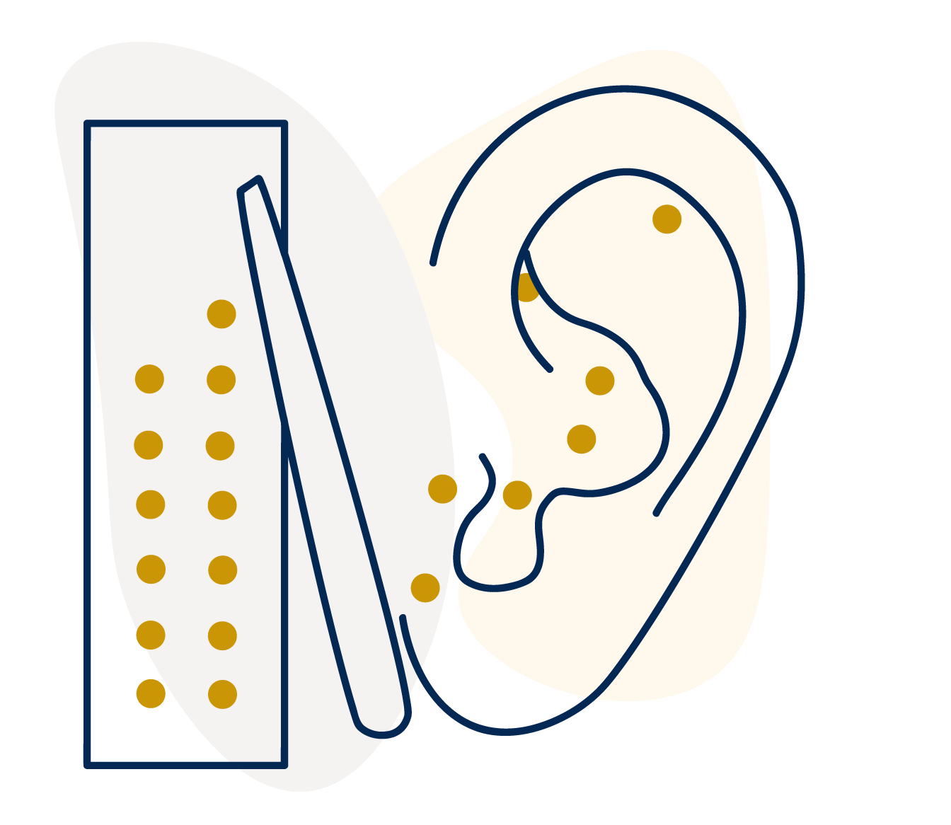 illustration of an ear with ear seeds