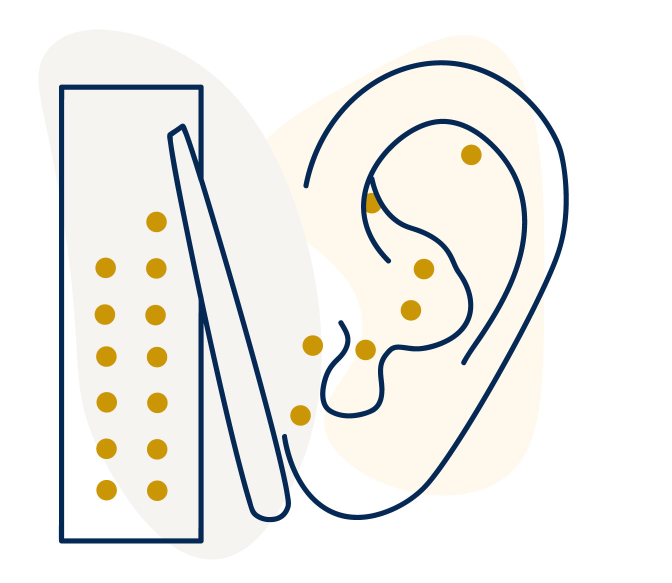 illustration of an ear with ear seeds