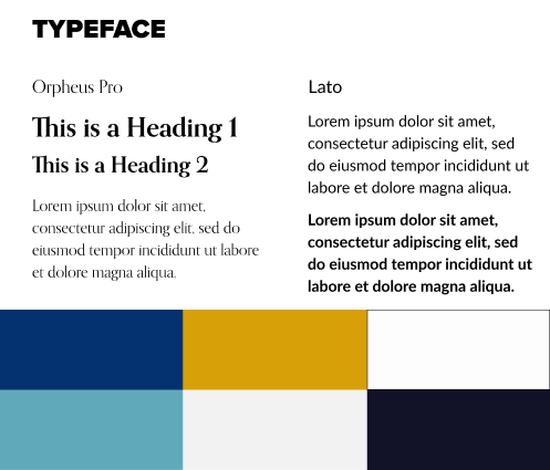 app brand and Assets