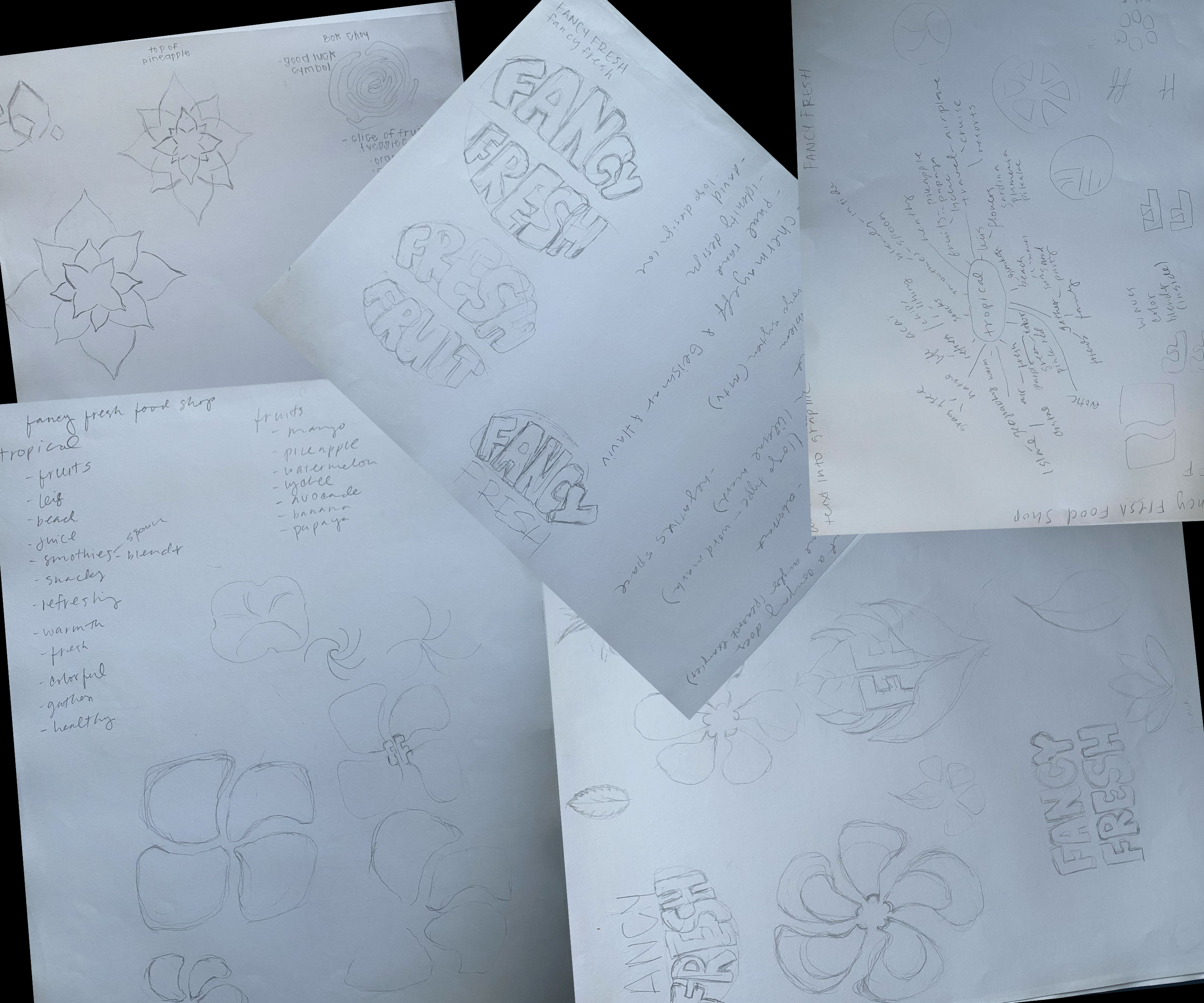 image of sketches for Fancy Fresh Food Shop logo