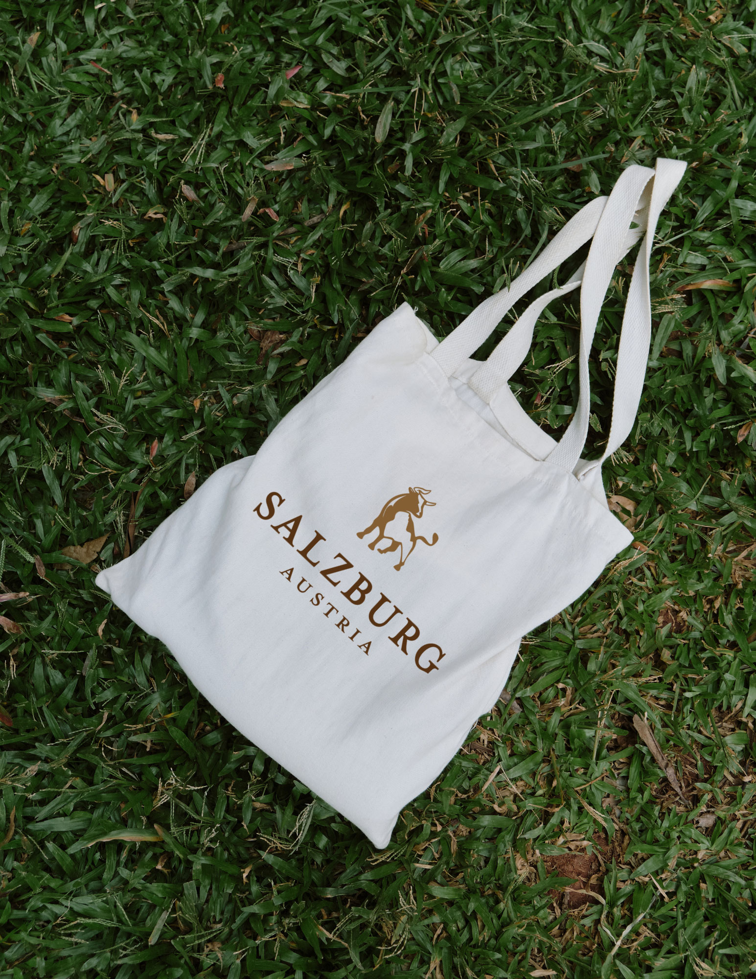 Salzburg logo on a tote bag