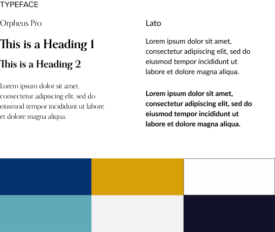 app brand and Assets