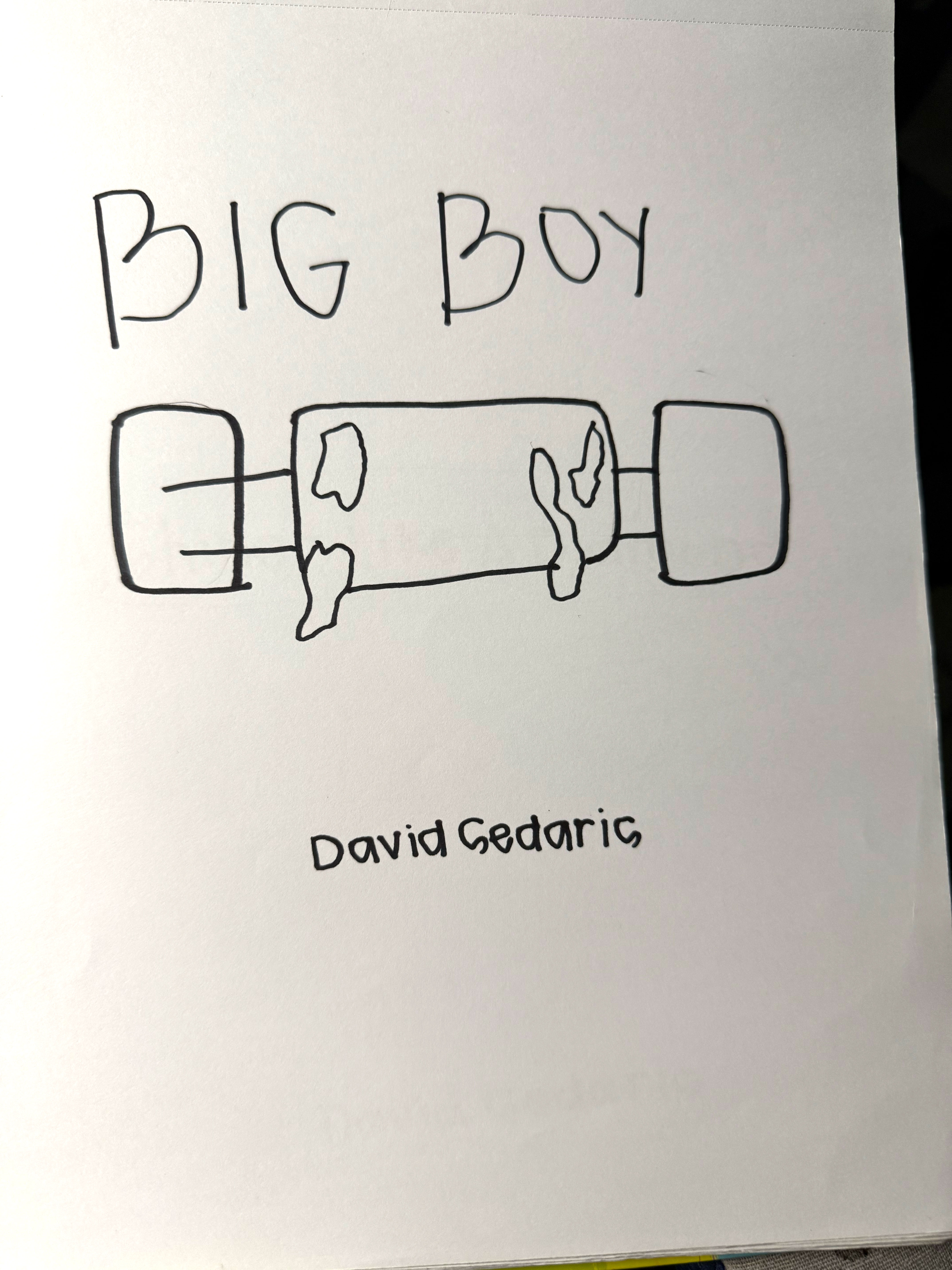 Sketches of a book cover