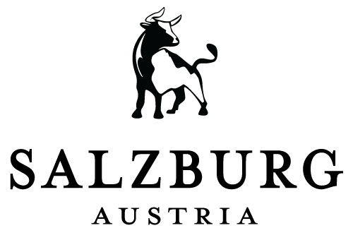 image of a bull for a logo