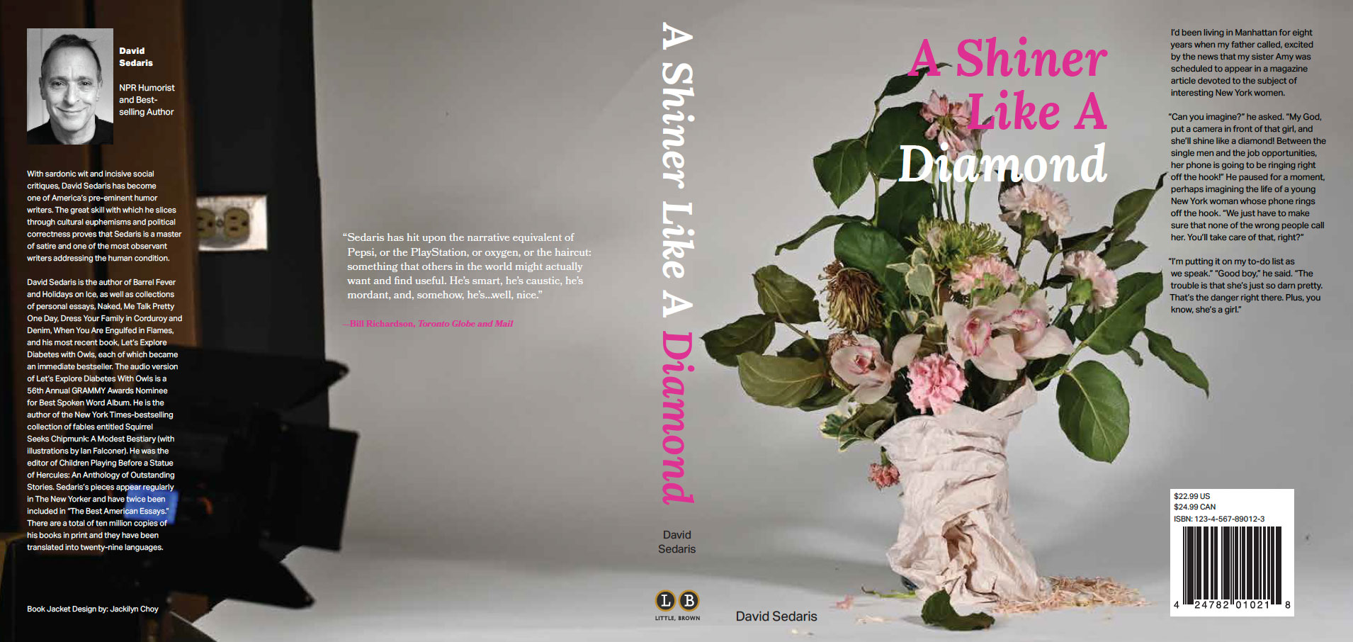 image of A Shiner Like A Diamond bookcover layout