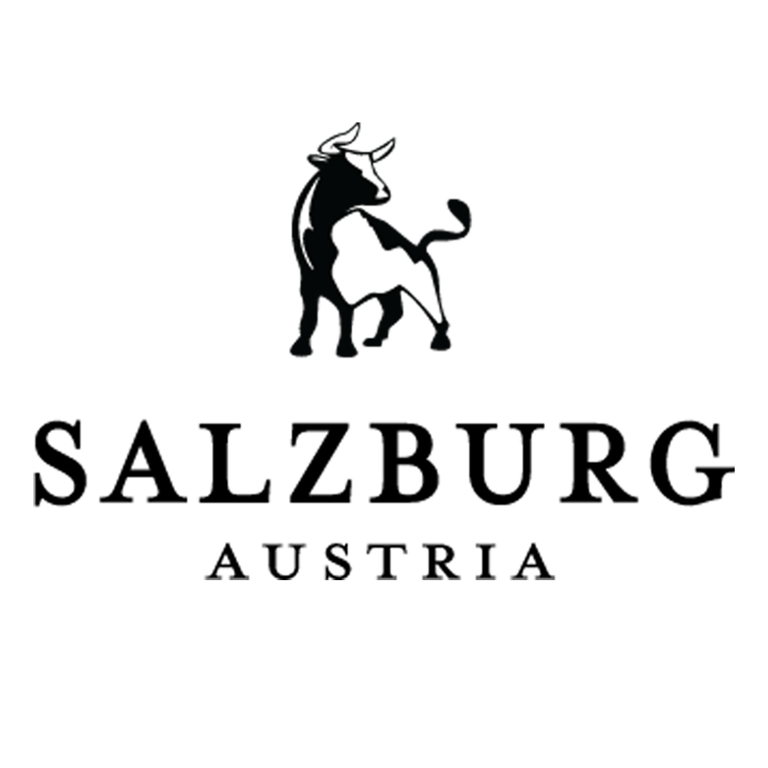 image of a bull for a logo