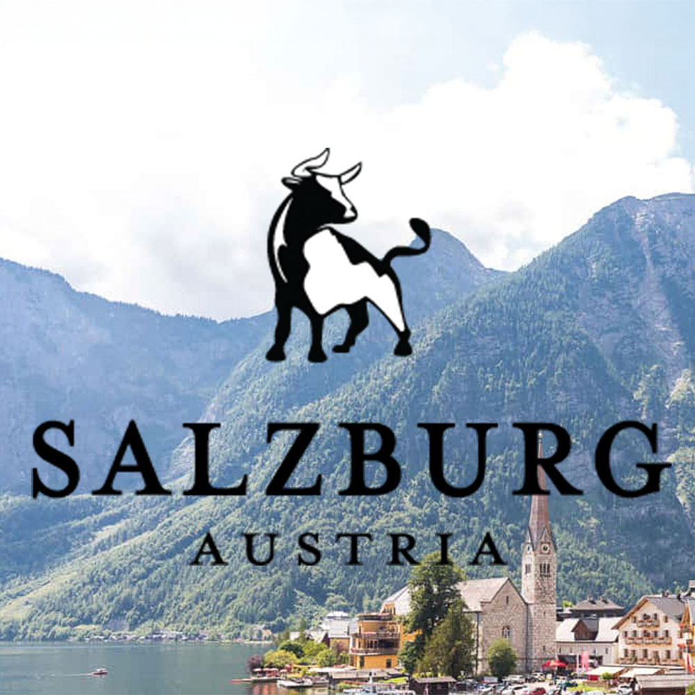 Salzburge logo