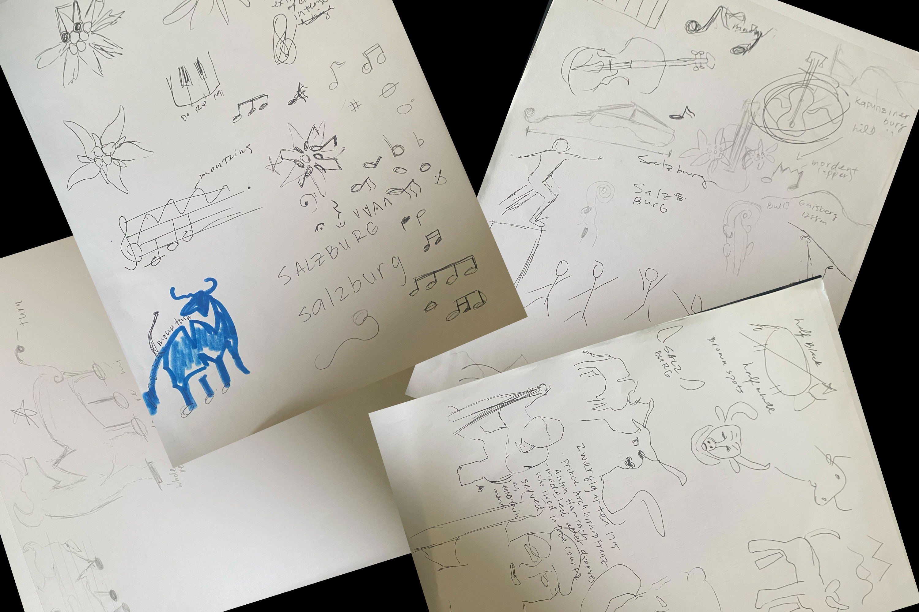 image of sketches for Salzburg logo